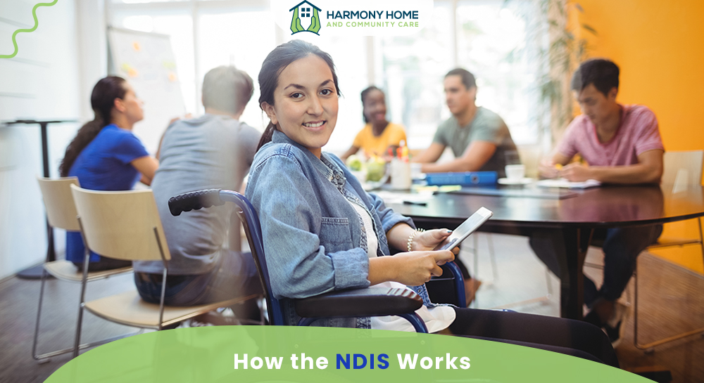 How the NDIS Works 1 How the NDIS Works