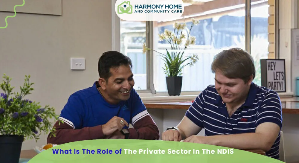 What Is The Role of The Private Sector In The NDIS